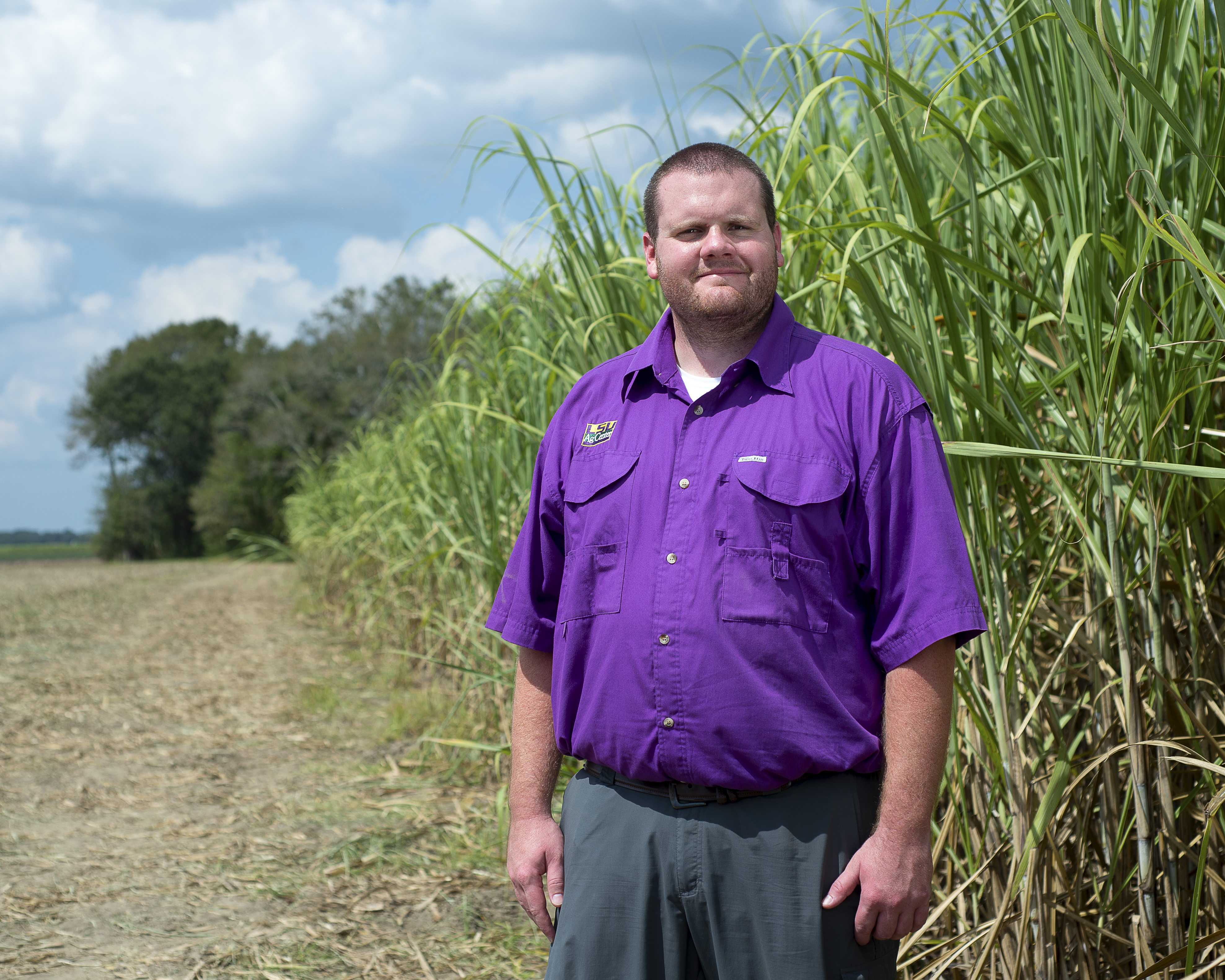 AgCenter agent’s lifelong interest in agriculture leads to career helping farmers 
